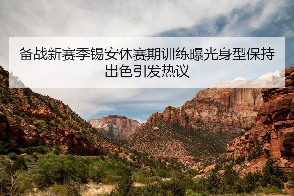备战新赛季锡安休赛期训练曝光身型保持出色引发热议